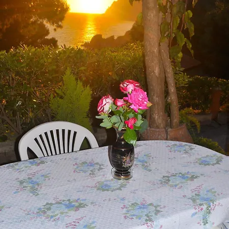 Apartment Takis - Kontogialos, Pelekas